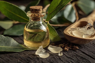 Camphor Oil