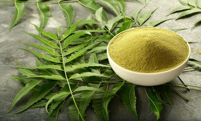 Neem Powder