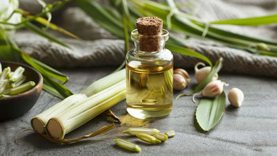 Lemongrass Essential Oil