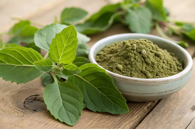 Tulsi Powder